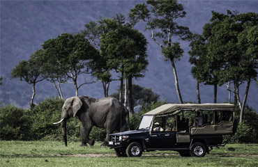 Moremi Botswana