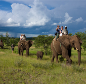 Travel Destinations from Sun Bird
