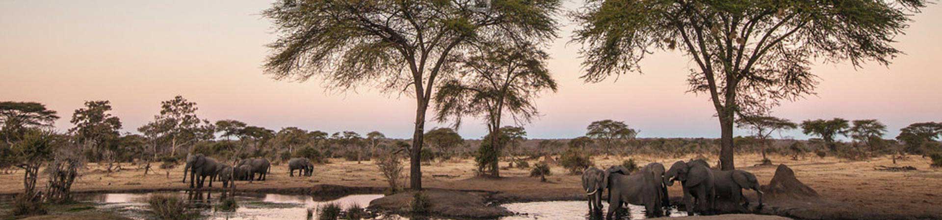 Zimbabwe Sun Bird Destinations